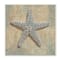 Stupell Industries Nautical Starfish Ocean Animal Muted Neutral, 12" x 12"